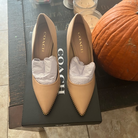 Coach new only tried on lovely beautiful - Picture 2 of 5